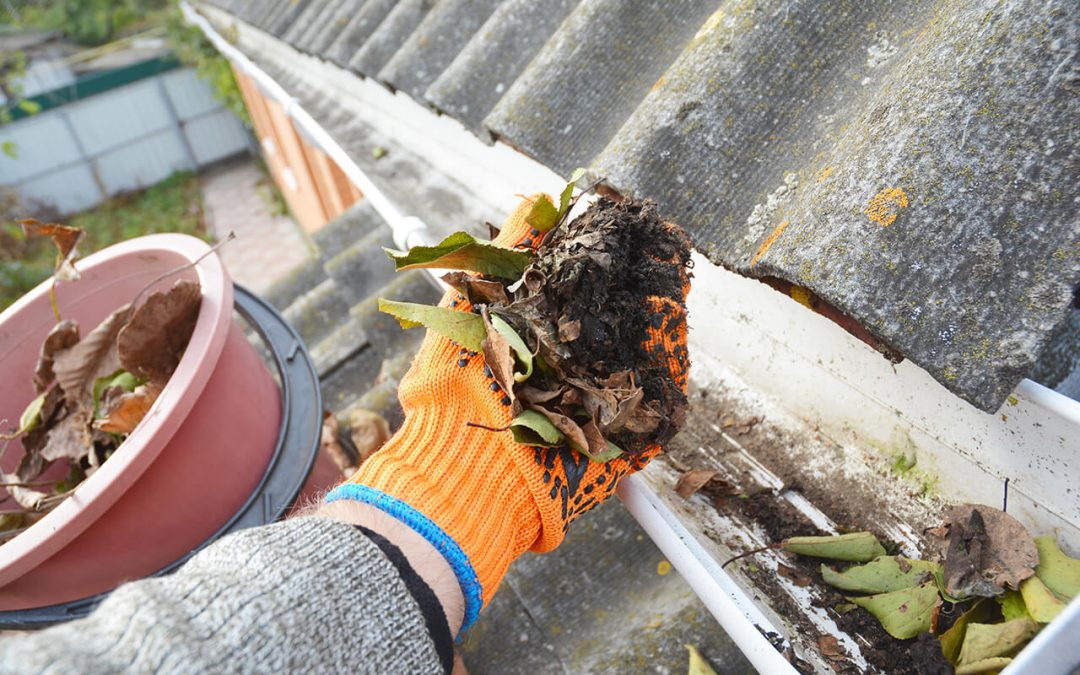 Gutter Cleaning in the Fall and How to Do It Safely